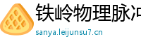 铁岭物理脉冲升级水压脉冲